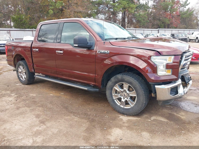 FORD F-150 XLT