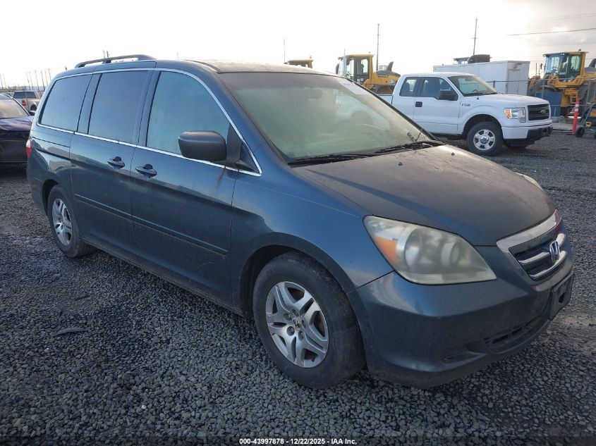 2005 Honda Odyssey Ex VIN: 5FNRL38465B403626 Lot: 43997878