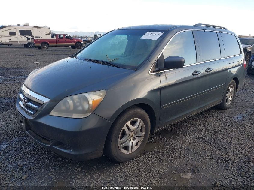 2005 Honda Odyssey Ex VIN: 5FNRL38465B403626 Lot: 43997878