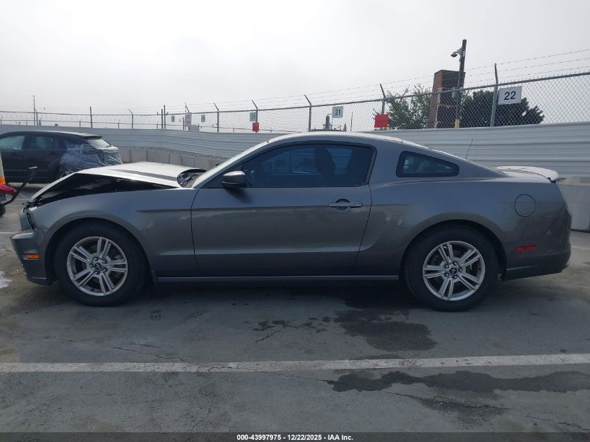 2013 Ford Mustang V6 VIN: 1ZVBP8AM3D5275422 Lot: 43997975
