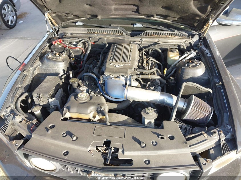 1ZVFT85H875229695 | 2007 Ford Mustang Gt Deluxe/Gt Premium