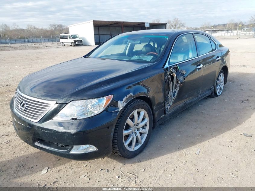 2009 Lexus Ls 460 VIN: JTHCL46F495003201 Lot: 43998436