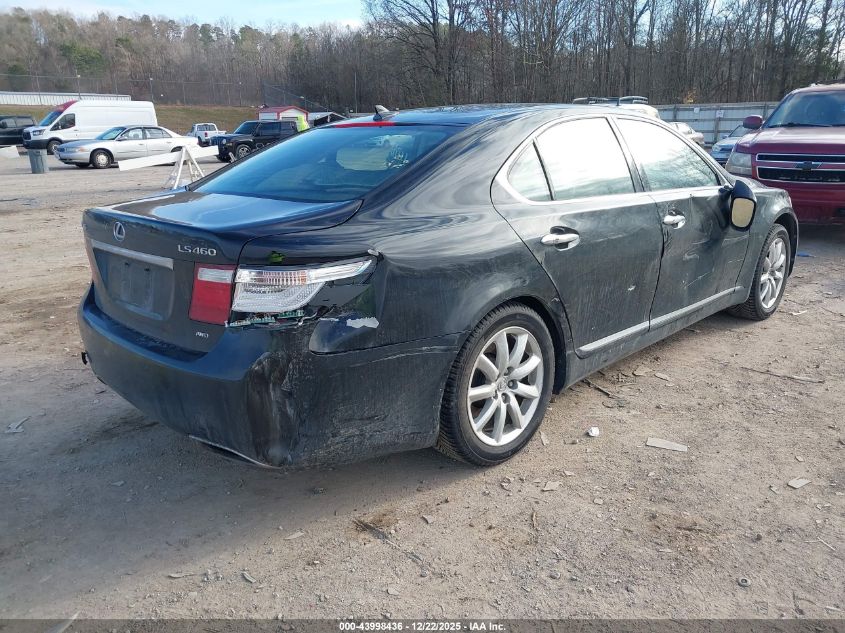 2009 Lexus Ls 460 VIN: JTHCL46F495003201 Lot: 43998436