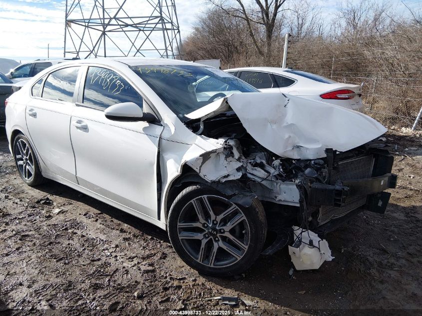 2019 Kia Forte S VIN: 3KPF34AD3KE113929 Lot: 43998733