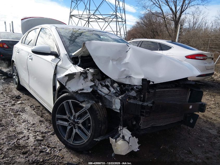 2019 Kia Forte S VIN: 3KPF34AD3KE113929 Lot: 43998733