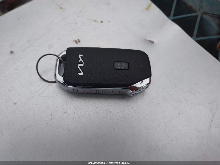 2022 Kia Telluride S VIN: 5XYP6DHC1NG237486 Lot: 43999060