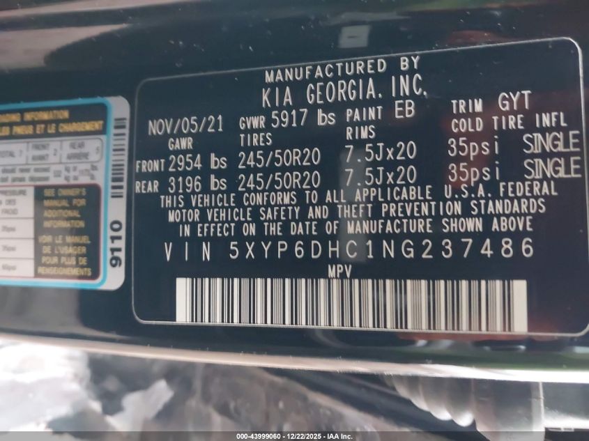 2022 Kia Telluride S VIN: 5XYP6DHC1NG237486 Lot: 43999060