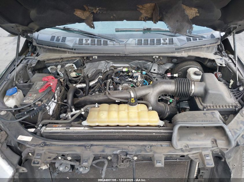 2019 Ford F-150 Xlt VIN: 1FTEW1CP9KKE22469 Lot: 44001105