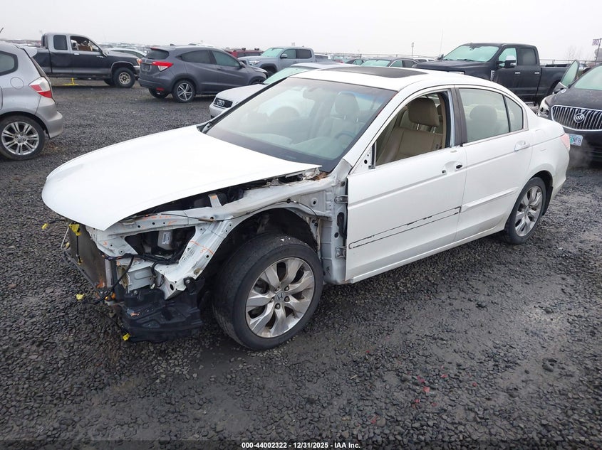 2010 Honda Accord 3.5 Ex-L