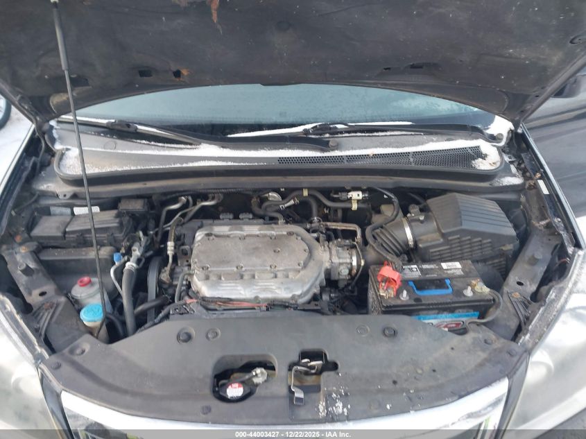 2008 Honda Odyssey Ex-L VIN: 5FNRL38688B100773 Lot: 44003427