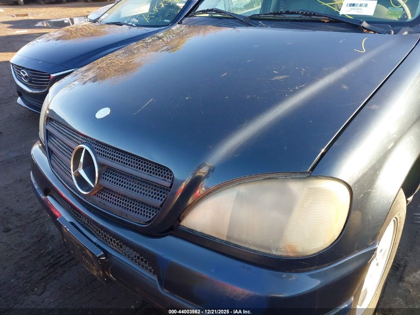 2000 Mercedes-Benz Ml 320 VIN: 4JGAB54E5YA187206 Lot: 44003562