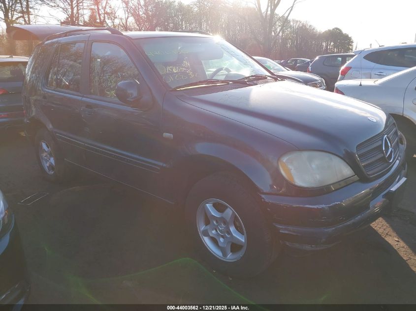 2000 Mercedes-Benz Ml 320 VIN: 4JGAB54E5YA187206 Lot: 44003562