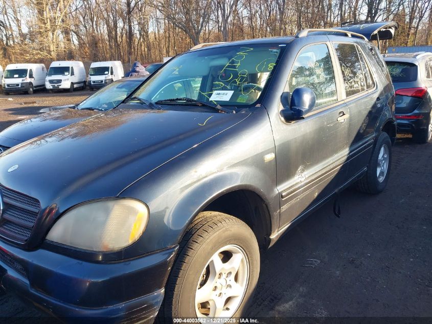 2000 Mercedes-Benz Ml 320 VIN: 4JGAB54E5YA187206 Lot: 44003562