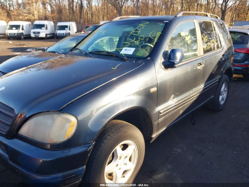 2000 Mercedes-Benz Ml 320 VIN: 4JGAB54E5YA187206 Lot: 44003562
