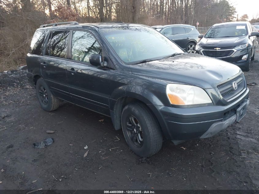 2005 Honda Pilot Ex-L VIN: 5FNYF18685B007318 Lot: 44003569