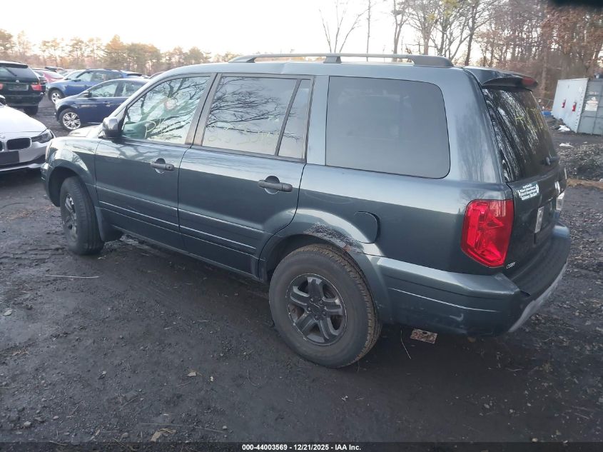 2005 Honda Pilot Ex-L VIN: 5FNYF18685B007318 Lot: 44003569