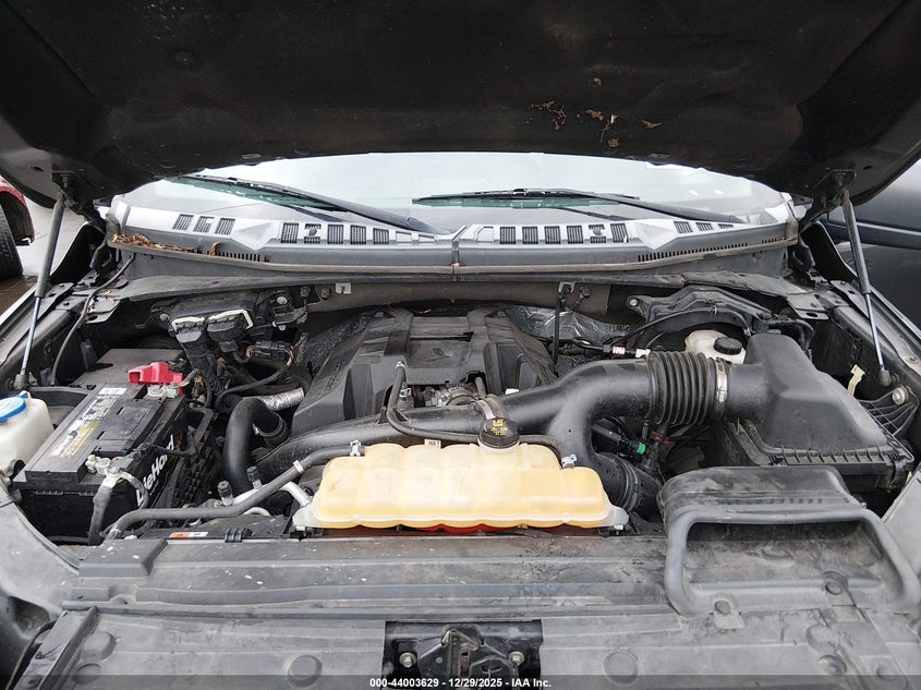VIN: 1FTEX1EP2HFB85397 2017 FORD F-150 XL