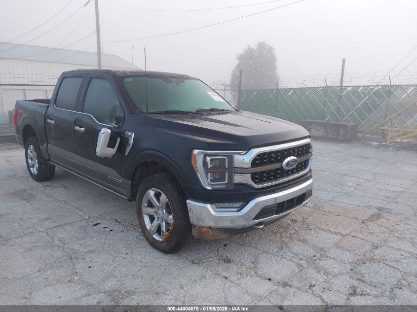 2023 Ford F-150 King Ranch VIN: 1FTFW1ED2PFC74057 Lot: 44004675