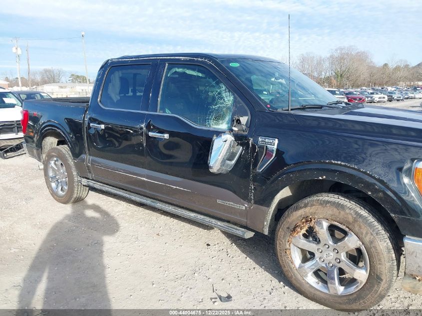 2023 Ford F-150 King Ranch VIN: 1FTFW1ED2PFC74057 Lot: 44004675