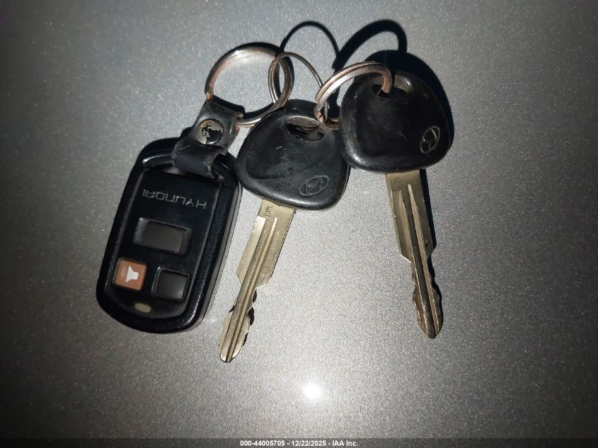 2003 Hyundai Santa Fe Gls/Lx VIN: KM8SC73EX3U484879 Lot: 44005705