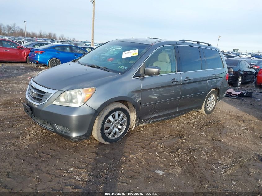 2009 Honda Odyssey Ex-L VIN: 5FNRL38699B407533 Lot: 44006925