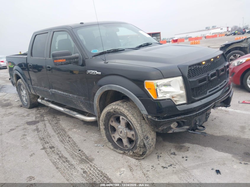 2009 Ford F-150 Fx4/King Ranch/Lariat/Platinum/Xl/Xlt