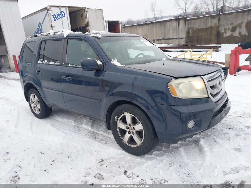 5FNYF4H60BB034574 2011 Honda Pilot Ex-L auction photo 1