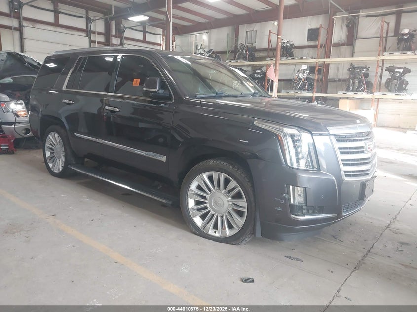 1GYS4PKJ4FR601017 2015 Cadillac Escalade Platinum auction photo 1