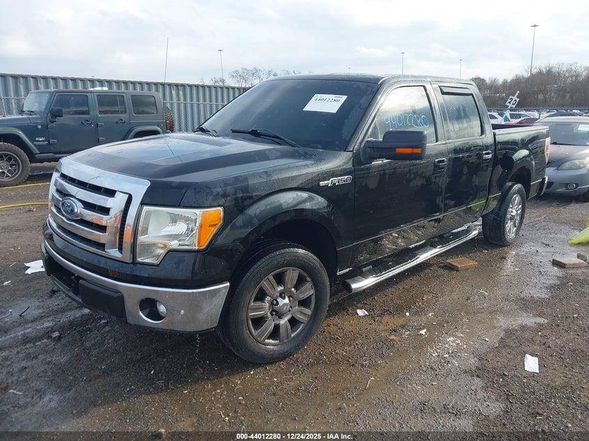 Vin: 1ftew1cm6bfc17755, lot: 44508035, ford f-150 xlt 20112