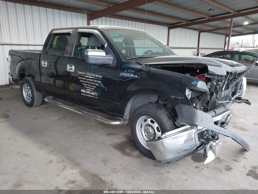 1FTEW1CM6EFB86088 2014 Ford F-150 Xl auction photo 1