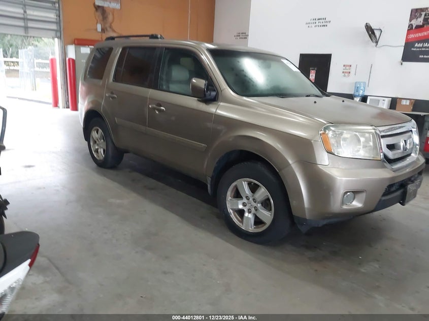 5FNYF3H52BB013680 2011 Honda Pilot Ex-L auction photo 1