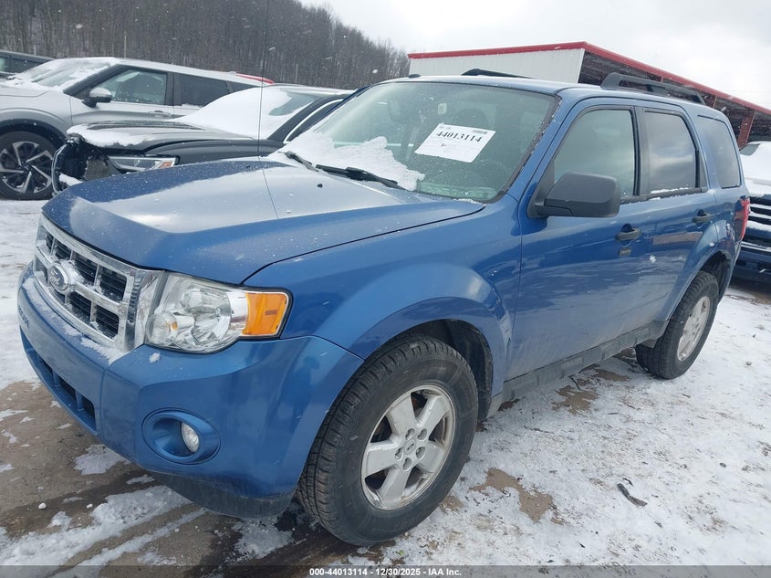 2010 Ford Escape Xlt
