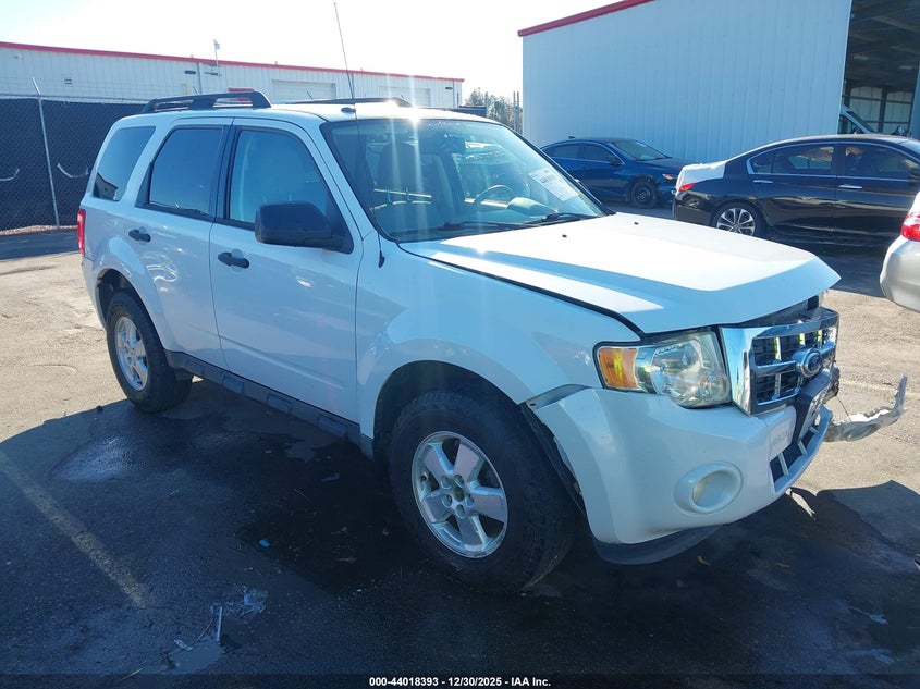 2010 Ford Escape Xlt