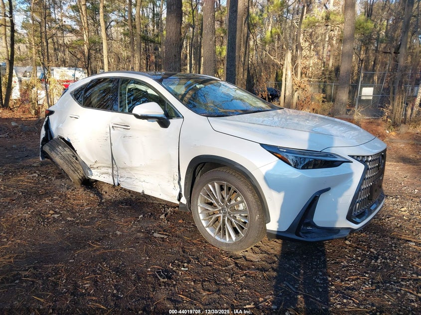 JTJHKCEZ9R2039478 2024 Lexus Nx 350H Luxury auction photo 1