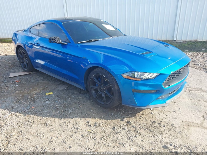 1FA6P8TH4K5157032 2019 Ford Mustang Ecoboost auction photo 1