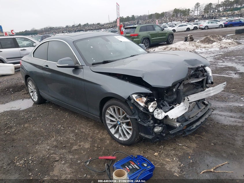 WBA1F7C53FVX96206 2015 BMW 228I xDrive auction photo 1