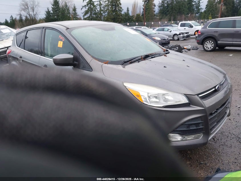 1FMCU0GX3EUC09667 2014 Ford Escape Se auction photo 1