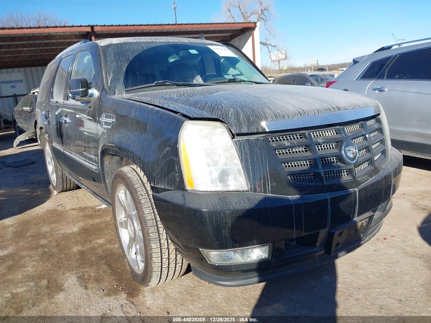2008 Cadillac Escalade Standard