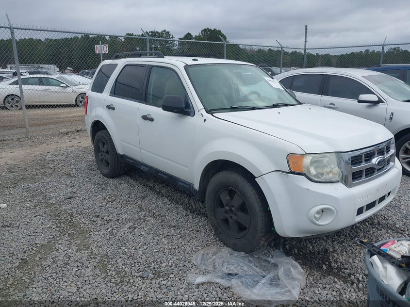 2010 Ford Escape Xlt