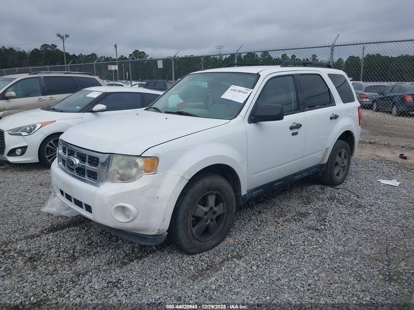 2010 Ford Escape Xlt