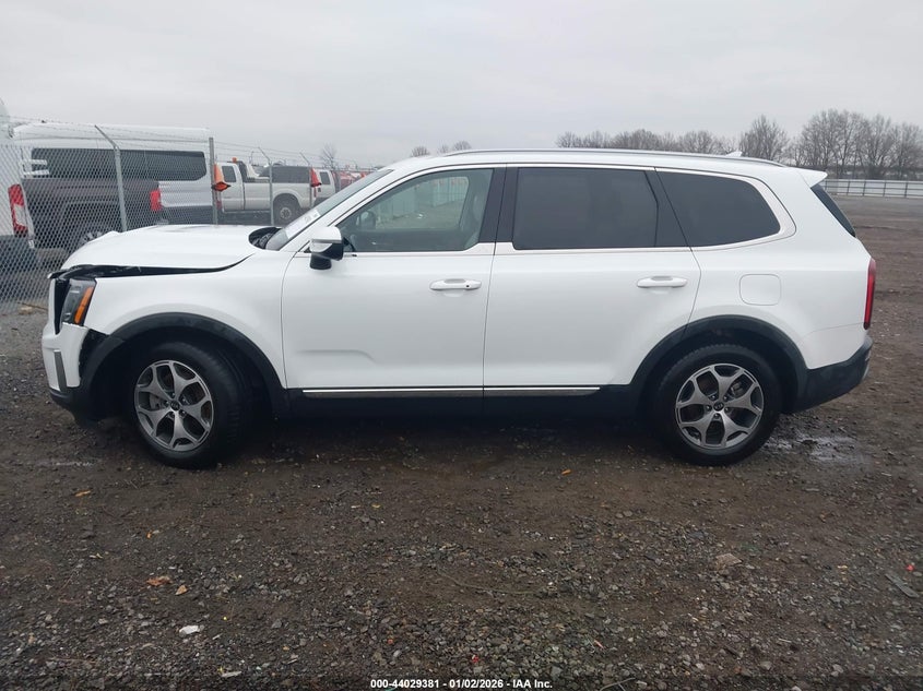 VIN 5XYP3DHCXLG076559 2020 KIA TELLURIDE EX