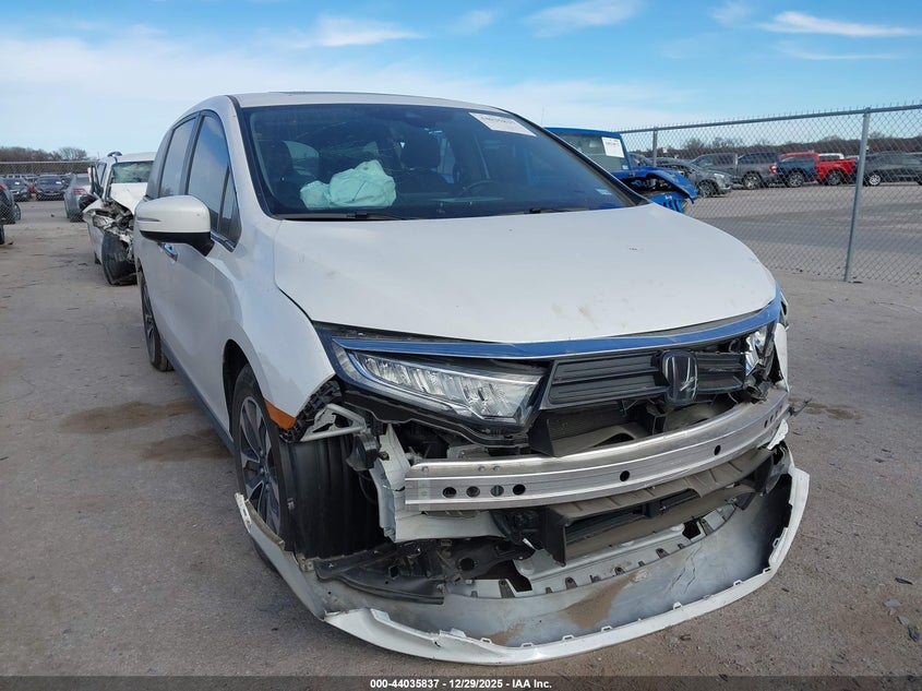 5FNRL6H62RB013597 2024 Honda Odyssey Ex-L auction photo 1
