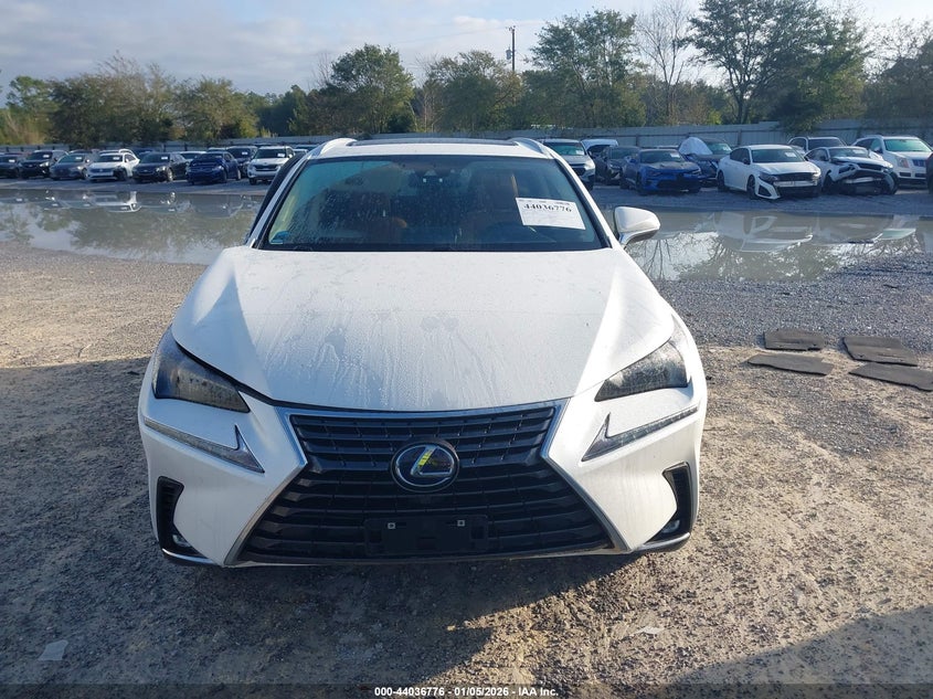 2021 Lexus Nx 300H VIN: JTJDJRDZ2M2161694 Lot: 44036776