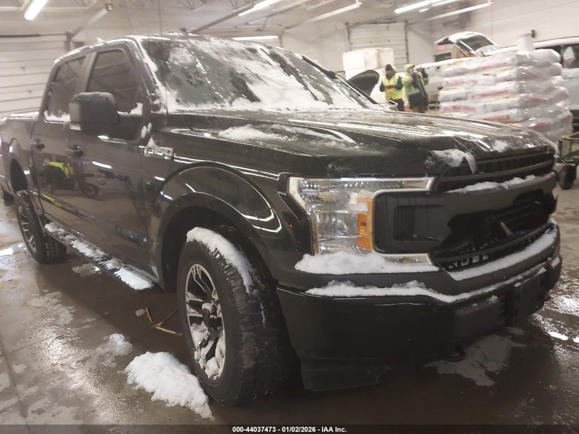 2019 Ford F-150 Xl
