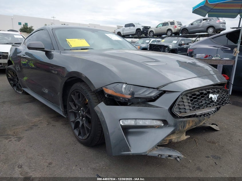 2019 Ford Mustang Ecoboost/Ecoboost Premium