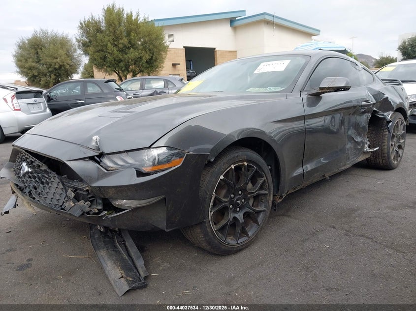 2019 Ford Mustang Ecoboost/Ecoboost Premium