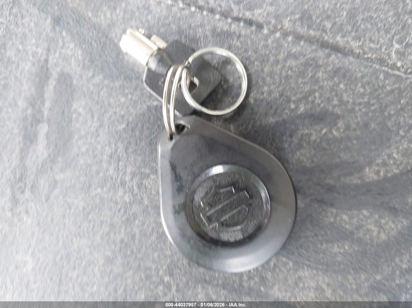 2023 Harley-Davidson Flhx VIN: 1HD1KBC15PB678125 Lot: 44037957