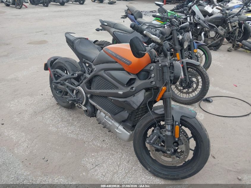 2020 Harley-Davidson Elw