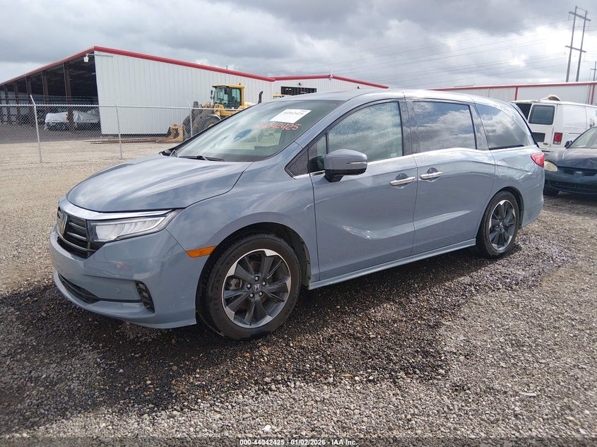2023 Honda Odyssey Elite