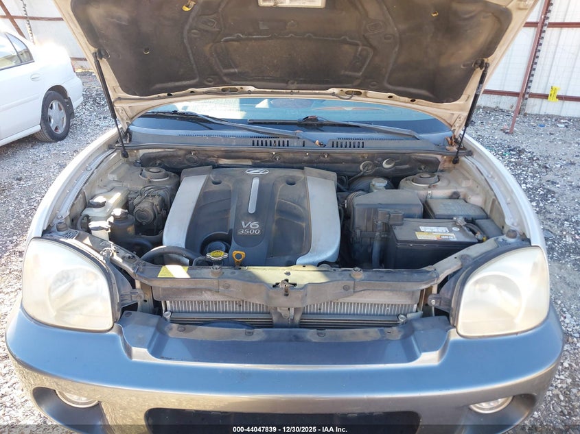 2004 Hyundai Santa Fe Gls/Lx VIN: KM8SC13E64U718966 Lot: 44047839